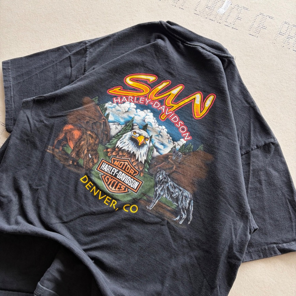 Vintage 90s Vibrant graphic Harley-Davidson T-shirt